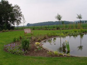 Landschapstuin 342